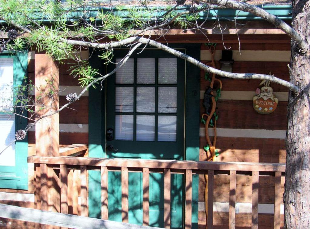 View! Cozy, Private, Fireplace, Hot Tub Log Cabin, Honeymoon! Sevierville Exteriör bild